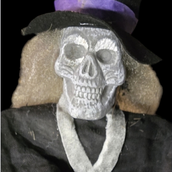 Skull head dressed in black with a hood , skeleton hands. Give that Eerie, Scary - Picture 2 of 6